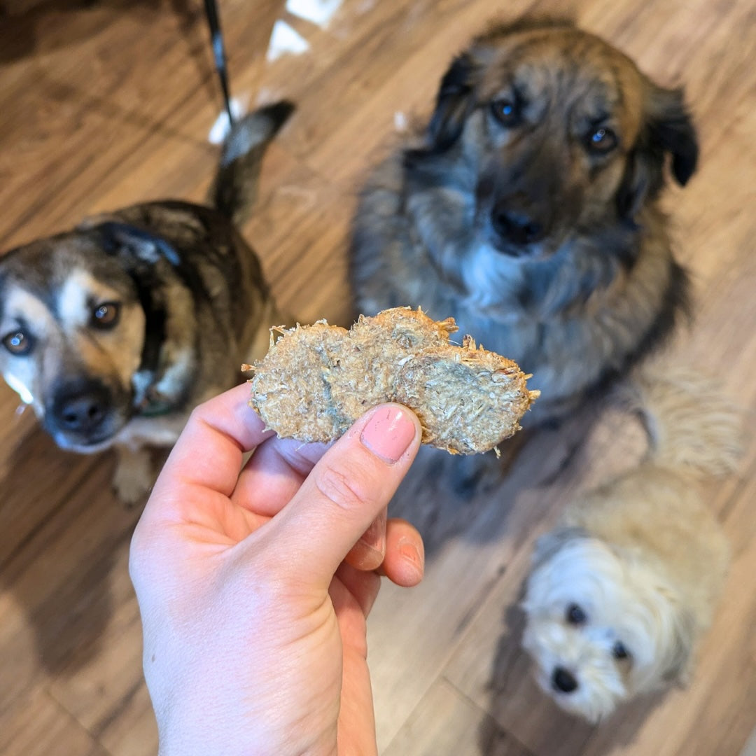 Little Dog Treats